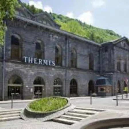 Dore Immobilier - Location Sancy 4 Couchages -les Melezes *